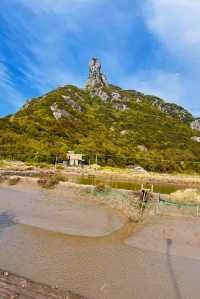 小眾可自駕的海島花田：宁波花岙島芸苔農業公園油菜花海賞花攻略