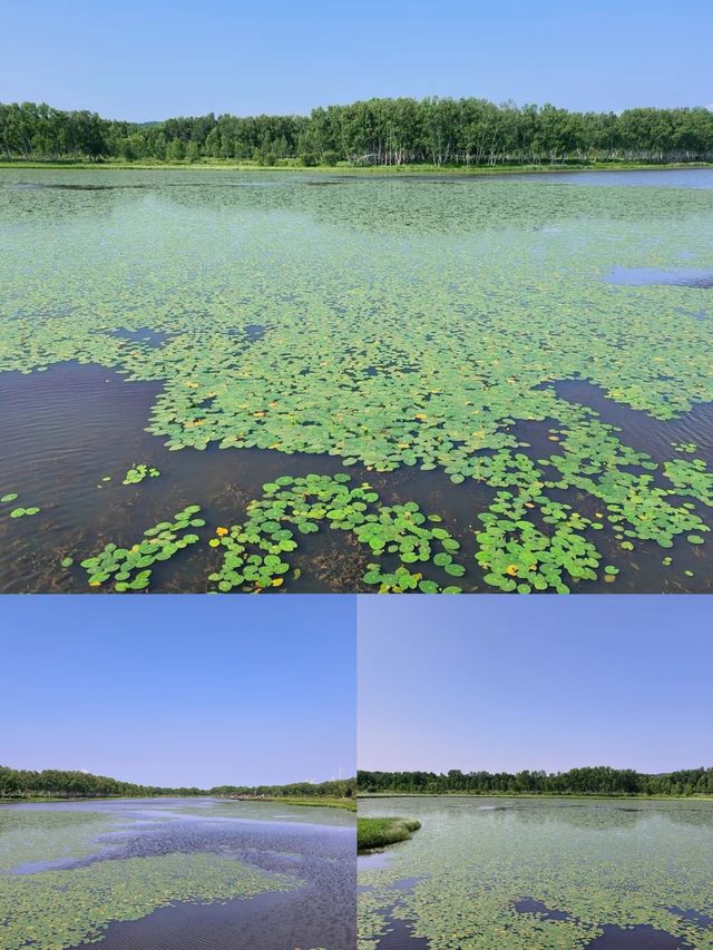 御道口太陽湖