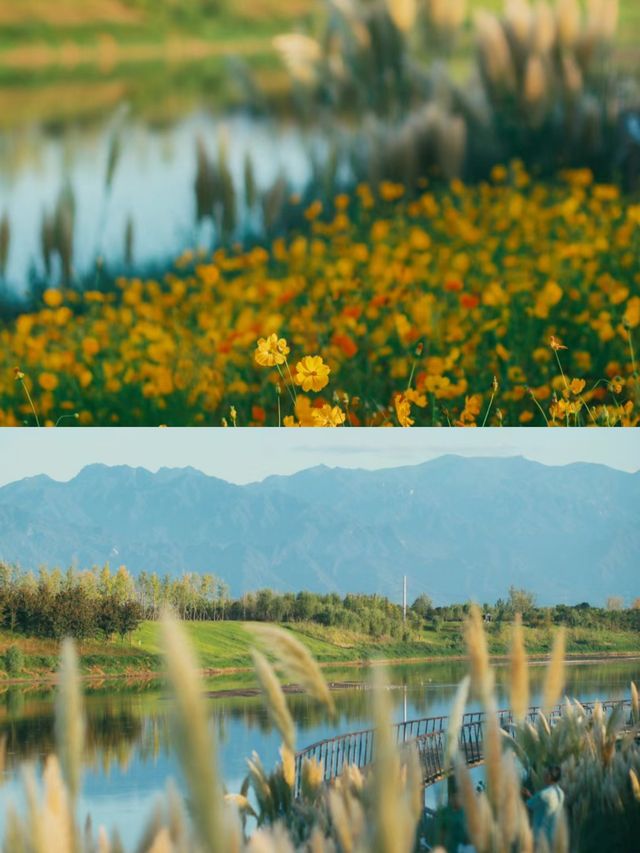 在西安,去一百次都不會膩的寶藏公園 在西安,去一百次都不會膩的寶藏公園
