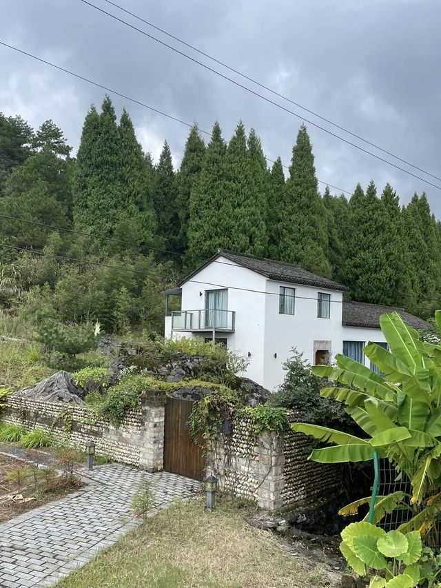 來千島湖度假一定要住的民宿！推開房門泳池