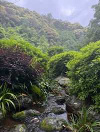 梅州雁南飛茶田景區