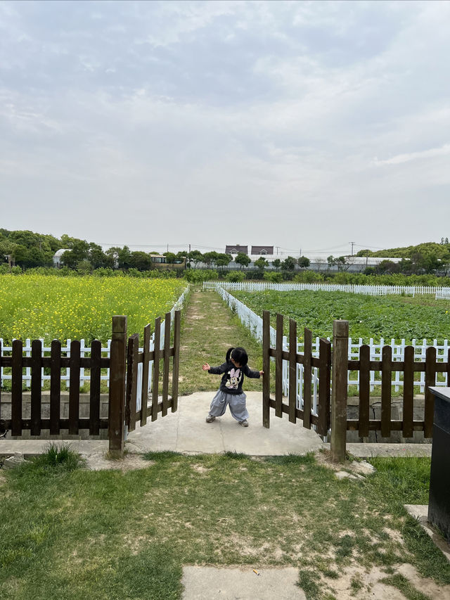 金山遛娃2日遊海上煙花+挖沙+漁村+田園