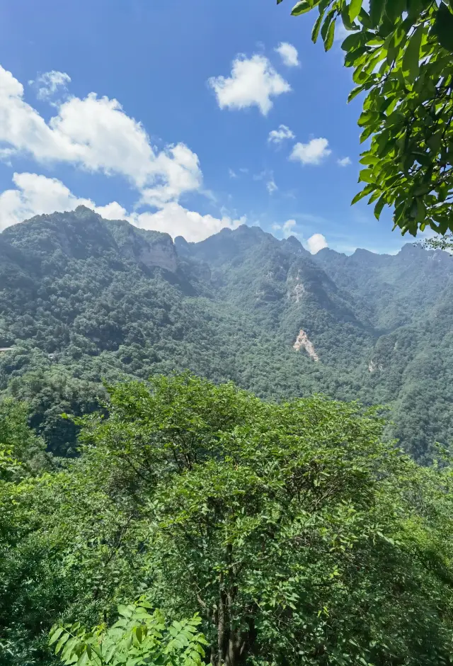 Wudang sacred realm open 24 hours