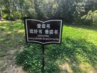 世界文化遺產嵩陽書院--登封少林寺嵩陽景區