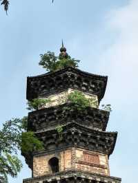 廣濟寺塔