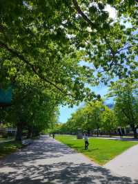 UBC校園逛逛