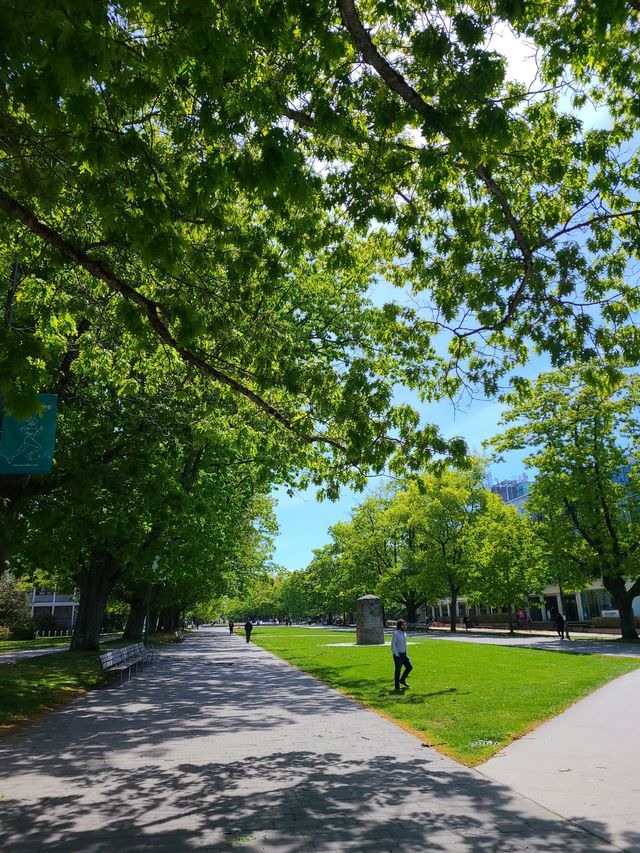 UBC校園逛逛
