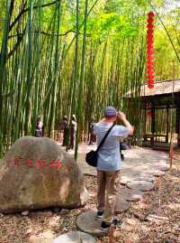 竹泉村：人居仙境中，家在竹泉里