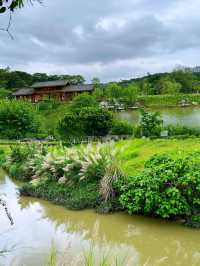廣西藥用植物園:藥香四溢的綠色寶庫