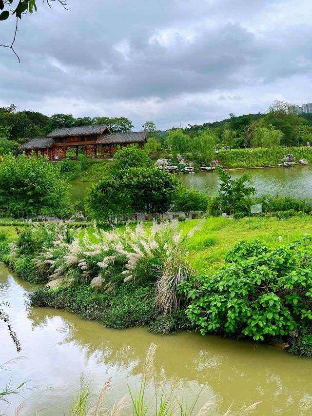 廣西藥用植物園:藥香四溢的綠色寶庫 廣西藥用植物園:藥香四溢的綠色寶庫