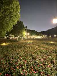 夜遊南京不老村！風景真美！氣候宜人！