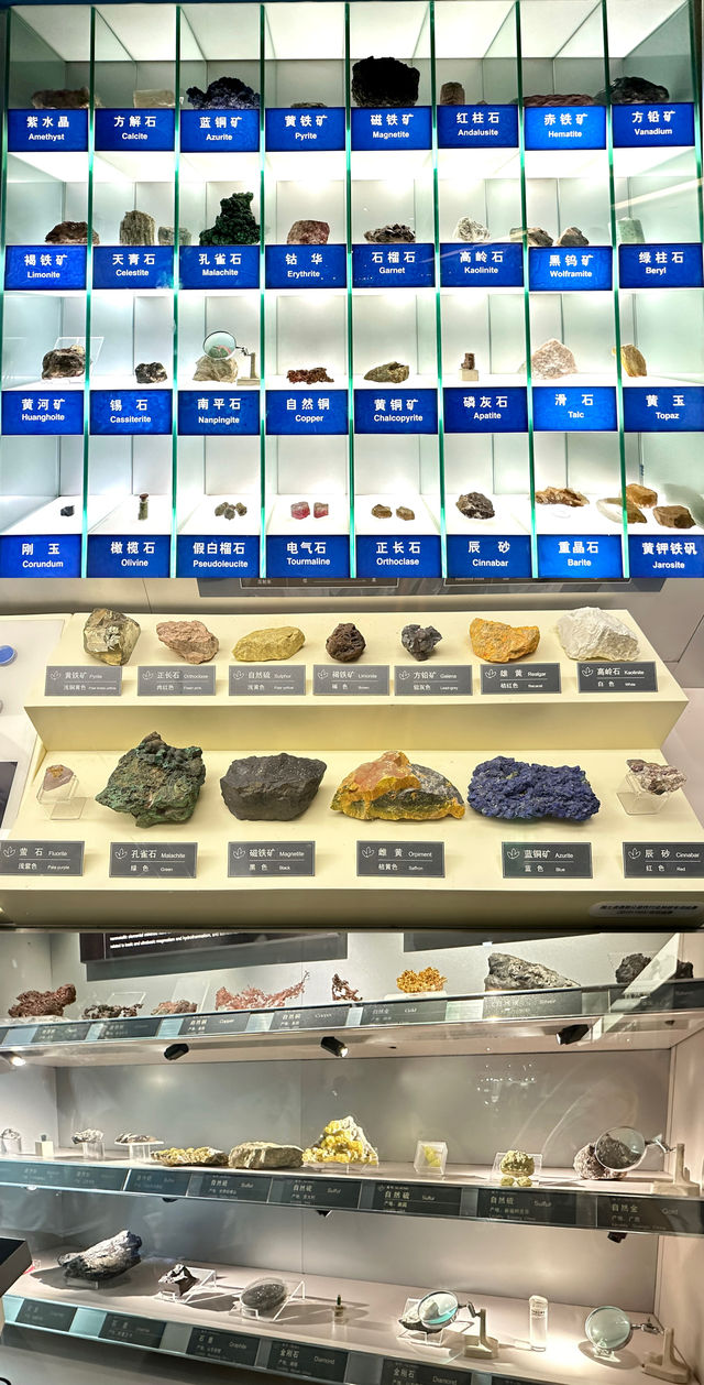 眼花繚亂，地質博物館長見識