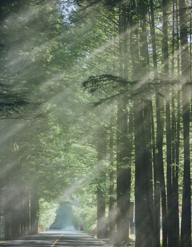 躲進22℃的秦嶺山居|端午出遊計劃