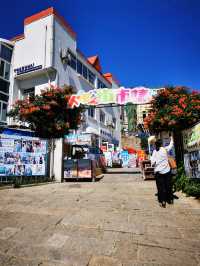 【山東威海】火炬八街