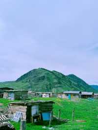 喀納斯瓦圖新村一個夢寐以求的避暑絕佳去處