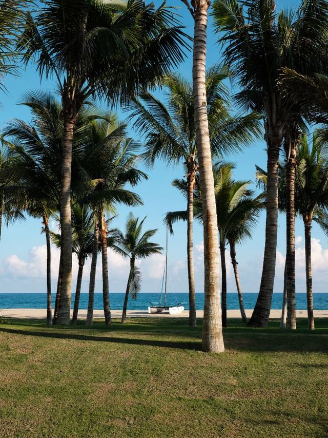 🌟 Hainan's Hidden Gem: Capella Tufu Bay 🌴🏖️