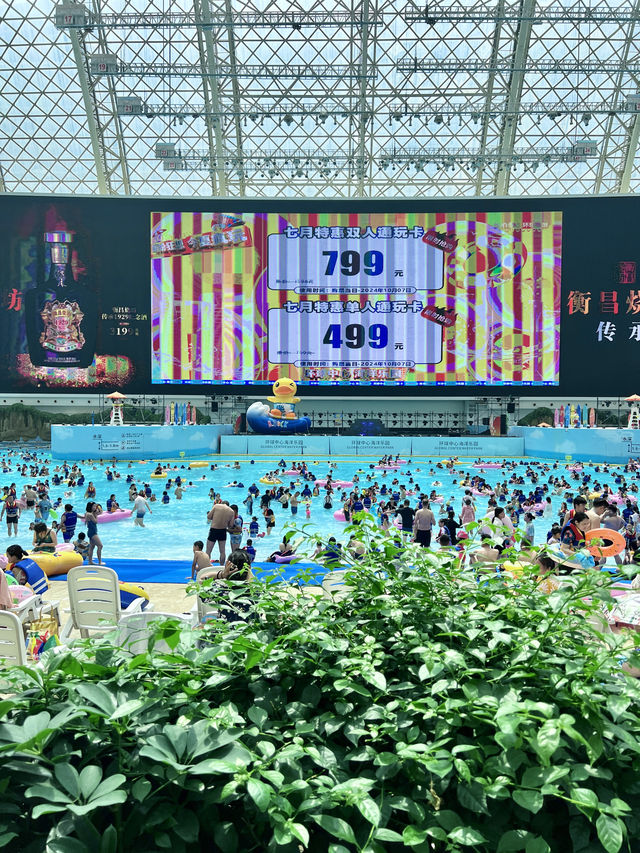 在水上樂園被小黃鴨包圍了