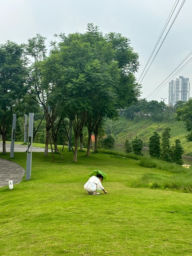 渔子溪湿地公园，寻找你的梦幻摄影铺