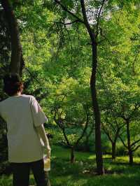北小河公園居然這麼好拍！每週都想去打卡！！