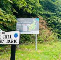 Belfast cool and breezy Cavehill