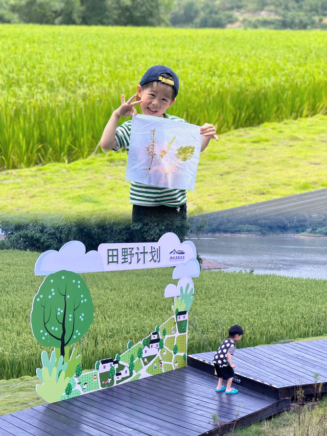 躺進稻田裡攜程農莊度假的小確幸🫶