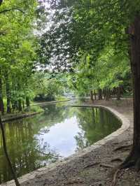 上海青年旅舍森林公園 | 城市中的綠野仙境。