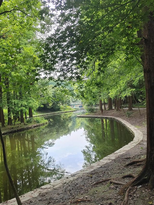 上海青年旅舍森林公園 | 城市中的綠野仙境。 上海青年旅舍森林公園 | 城市中的綠野仙境。