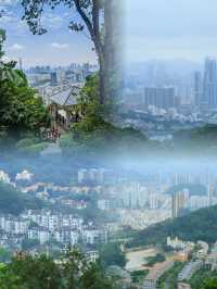 深圳的綠野仙蹤 | 銀湖山郊野公園。