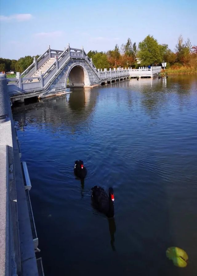長春北湖濕地公園 -- 國家4A級旅遊景區。