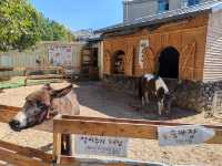 武漢東湖赫爾露營農場！好靚景點。