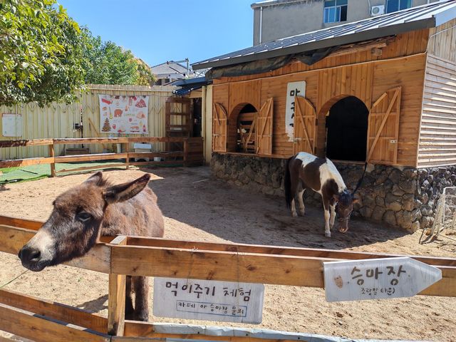武漢東湖赫爾露營農場！好靚景點。