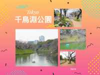 東京景點｜訪千鳥淵：賞櫻的遺憾