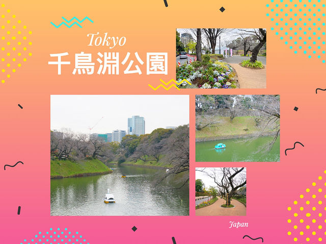 東京景點｜訪千鳥淵：賞櫻的遺憾