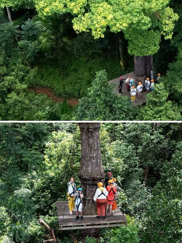 普吉島旅行必體驗之叢林飛躍！三大叢林飛躍該怎麼選？建議收藏！。