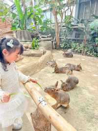 帶孩子來神戶一定要去這家動物王國！附攻略。
