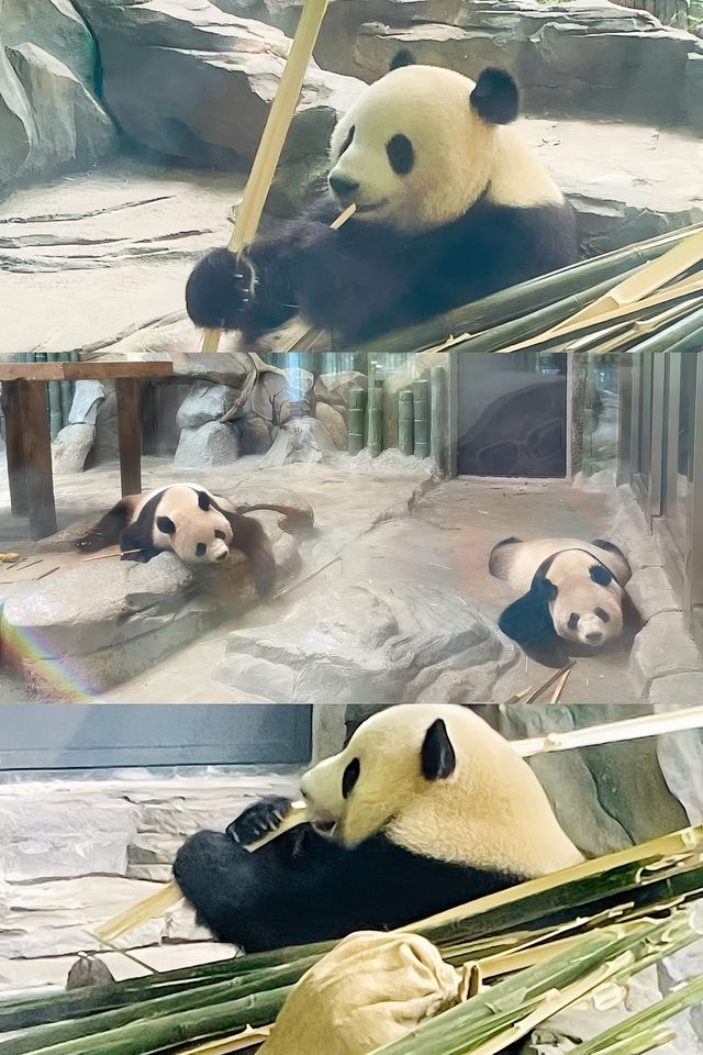 來岳陽看日落囉，美得體無完膚啊啊啊！！。