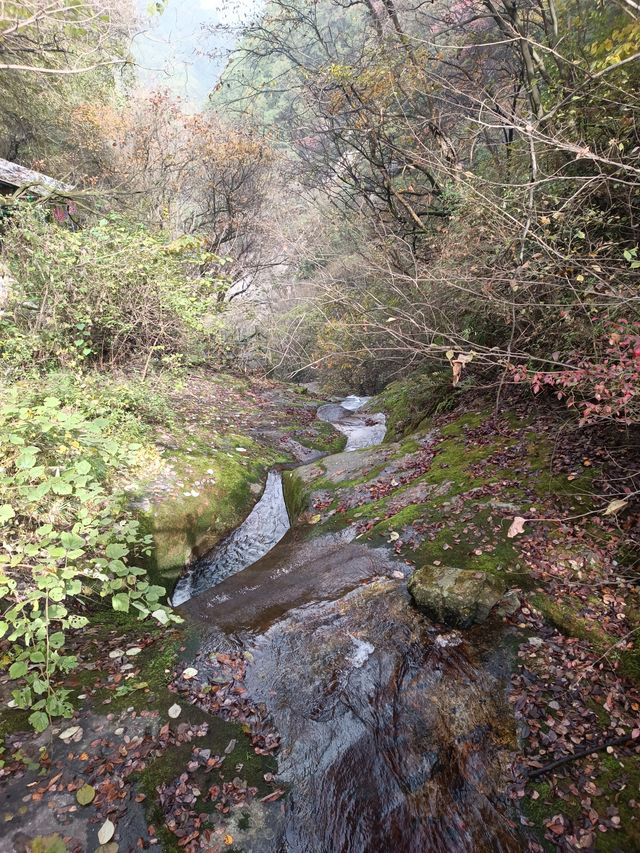 祥峪森林公園。