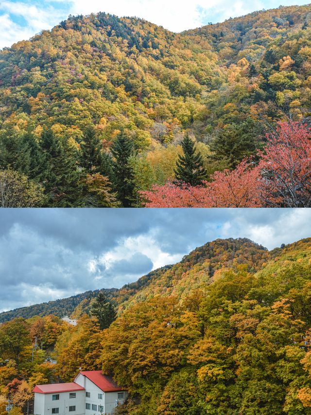 比京都小眾！走進札幌動漫裡的秋天。