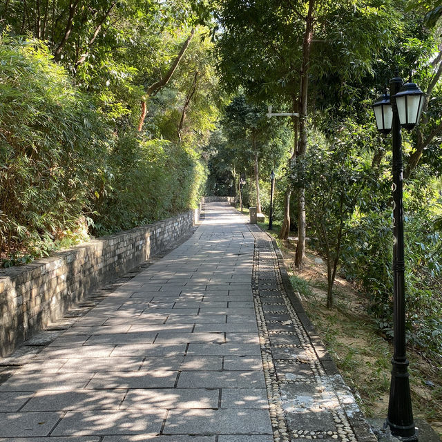 🌳 Wangniuting Park Shenzhen 🌳