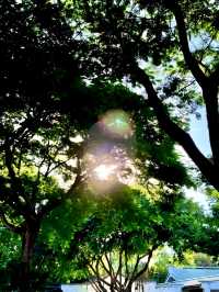 廈門真的看不厭系列之白鷺洲公園。