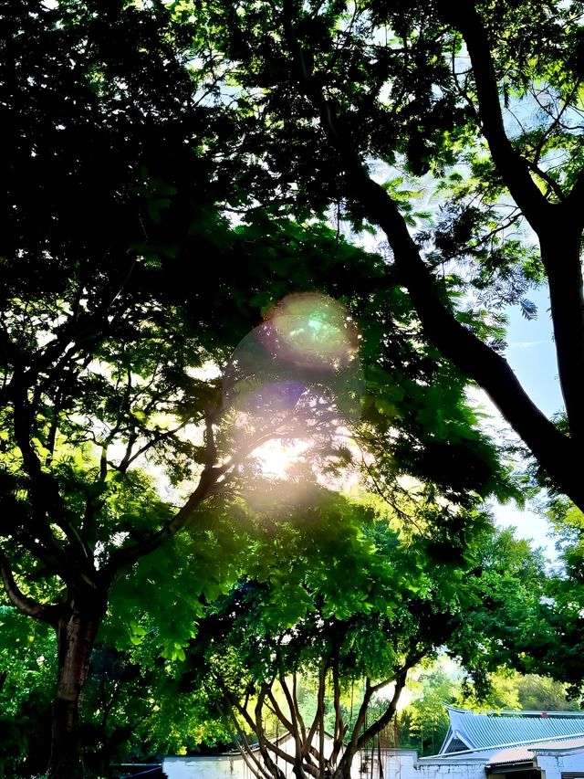 廈門真的看不厭系列之白鷺洲公園。