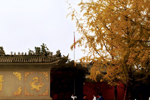 成都太古里字庫塔賞銀杏。