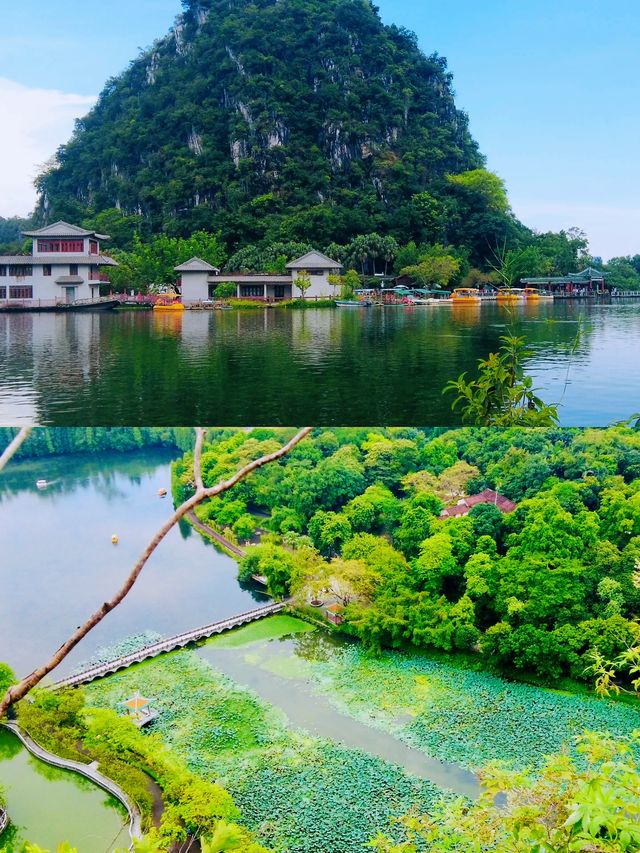 在肇慶星湖畔邂逅大自然的美妙時刻。