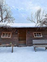 深圳雪景木屋阿勒泰！。