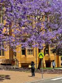 The breathtaking beauty of the University of Sydney