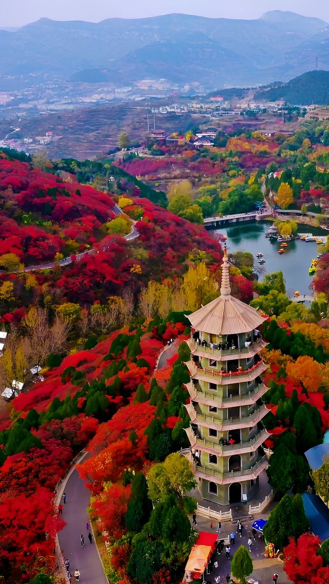 天啊！山東濟南還有這麼美的地方，秋日童話。