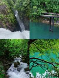 不做冤大頭天目山旅遊避雷||全攻略。