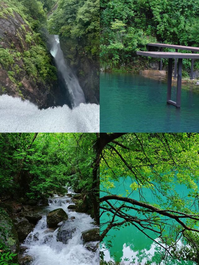 不做冤大頭天目山旅遊避雷||全攻略。