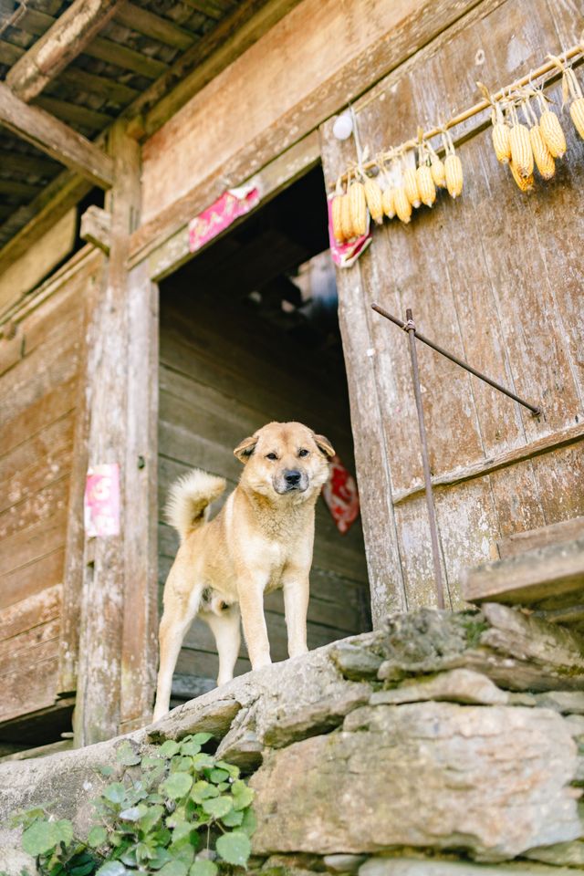 冬季週末休閒遊，這個地方真的超好玩桂林周邊。