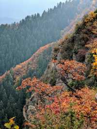 隴右名山蘭州興隆山 | 邂逅醉美秋色。